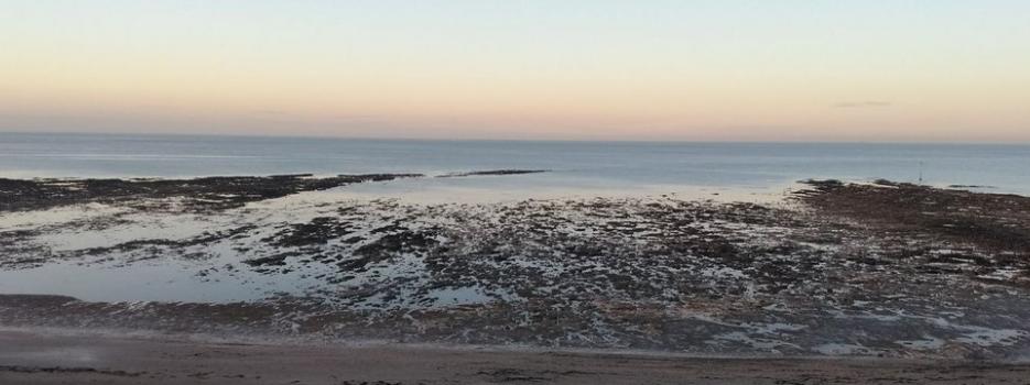 Thanet coastline